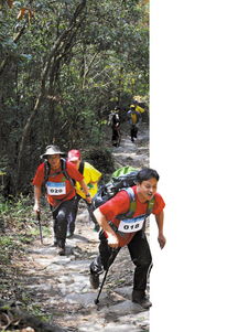 500余名戶外運動愛好者體驗 郊野公園